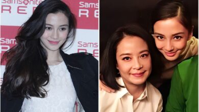 Rowena Tung: The Private Life of Angelababy’s Mother
